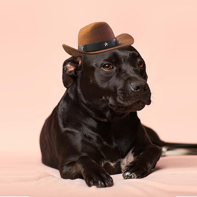 Pet Dog Cowboy Hat Cosplay Cap Puppy Pet Dog Cat Holiday Costume Pet Party Decoration