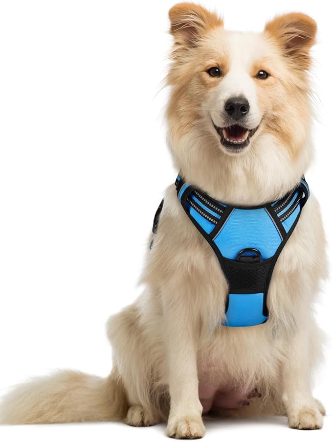rabbitgoo Dog Harness, No-Pull Pet Harness with 2 Leash Clips, Adjustable Soft Padded Dog Vest, Reflective No-Choke Pet Oxford Vest with Easy Control Handle for Medium Dogs, Blue, M