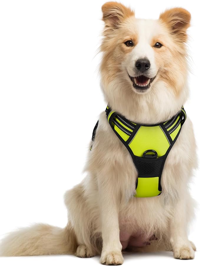 rabbitgoo Dog Harness, No-Pull Pet Harness with 2 Leash Clips, Adjustable Soft Padded Dog Vest, Reflective No-Choke Pet Oxford Vest with Easy Control Handle for Medium Dogs, Wild Lime, M