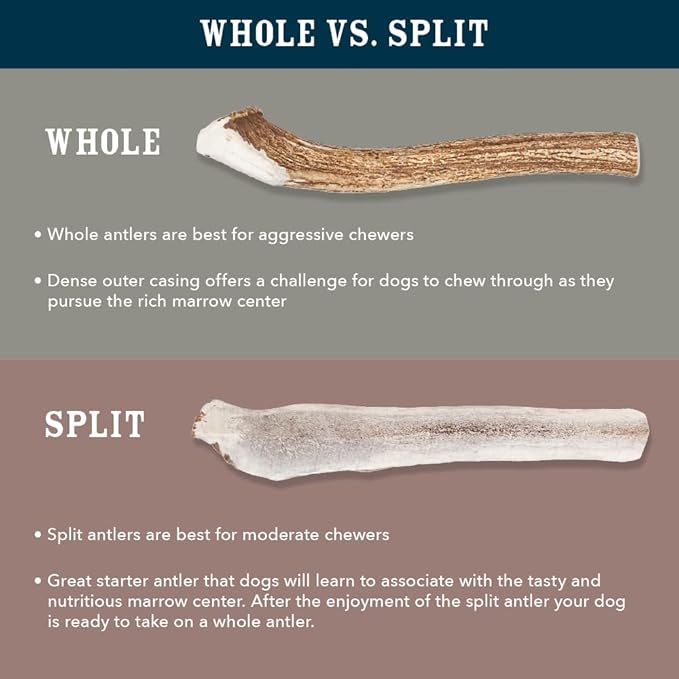 Amazon Brand – Wag Split Elk Antler, Naturally Shed, Large (Best for Dogs 30-45 lbs) (Pack of 4)