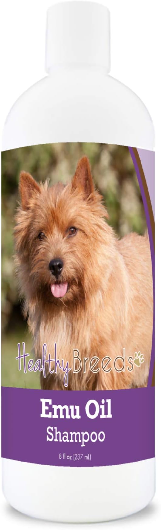 Healthy Breeds Norwich Terrier Emu Oil Shampoo - Gentle Cleanser That Provides Soothing Relief of Inflammation While Restoring Moisture Balance - Fruity Scent - 8 oz