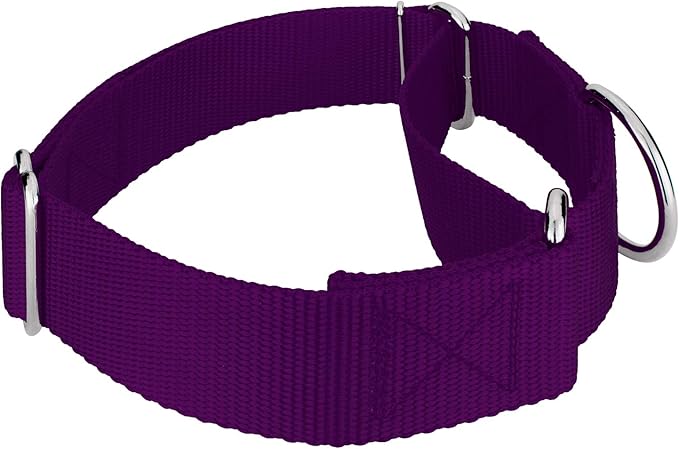 Country Brook Petz 1 1/2 Inch Martingale Heavy Duty Nylon Adjustable Dog Collar for Small, Medium, Large Breeds - Vibrant 17 Color Selection (Purple, Extra Large)