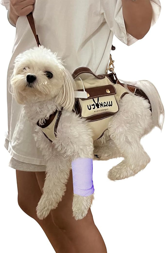 Dog Lift Harness Dog Carrier Dog VES Harness Adjustable Dog Leash with Small Puppy Treat Bag,Fits Most Cars,XS