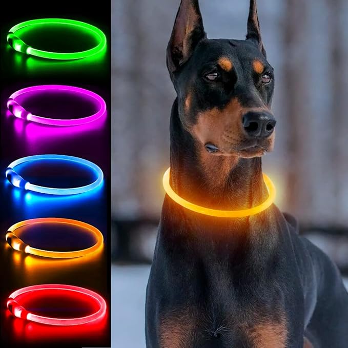 Light Up Dog Collars, Single-Color USB Rechargeable Dlitk LED Dog Collar 1 Count, TPU Cuttable Size Glow Collar for Dogs, Dog Collar Light, Please Do Not Use Fast Charging (Orange)