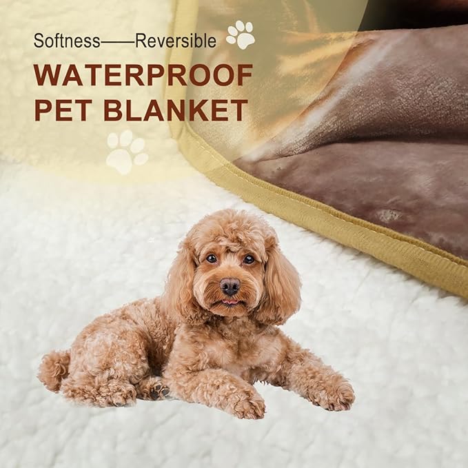 Bucephalus Waterproof Dog Blanket, Thick Reversible Soft Pet Blankets for Couch Bed Protection, Pee Proof Sherpa Fleece Blanket for Small Medium Large Dogs Puppy Cats Washable (Gray,25"×35")