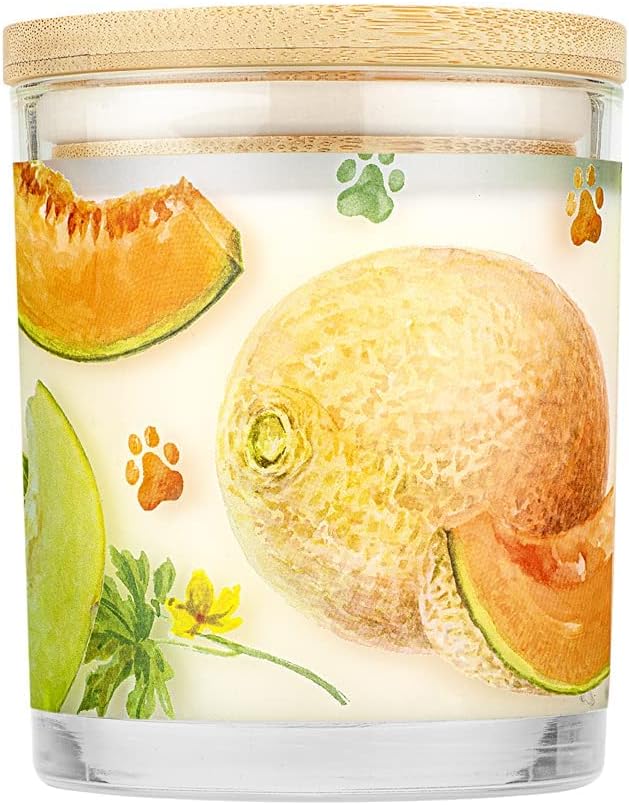 Pet House 9 oz Juicy Melon Scented Pet Odor Candle, Clean Burning, Long Lasting, Plant Based Spring, Summer Scented Soy Candles, 60 Hour Burn Time, Pack of 2