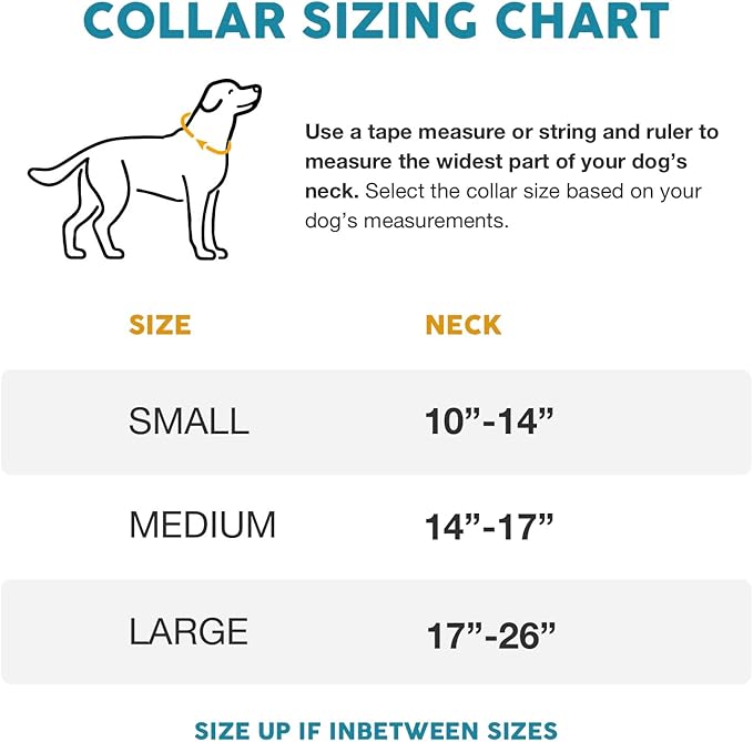 Embark Urban Dog Collar – Dog Collar Stylish & Durable Nylon Dog Collar for Large Dogs, Small Dogs & Medium Dogs.Comfortable Pet Collar Strong Buckles for Any Size Breed (Azure, Medium)