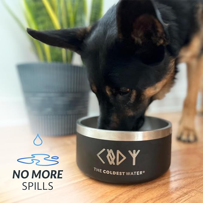 Coldest Dog Bowl - Anti Rust Metal & Non Slip Dog Bowls Large, Spill Proof Heavy Duty 3 Layers Insulated Dog Bowl - Food and Water Bowl for Dogs, Cats & Pets, Dishwasher Safe (42 oz, Black Leopard)