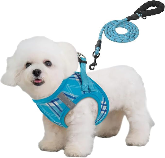 Athena Collection Small Dog Harness with 5 ft Leash, Step-in Dog Harness Leash Set Small No Pull Dog Vest Harness with Reflective Strips Adjustable Velcro, Easy Walk Puppy Harness, Blue