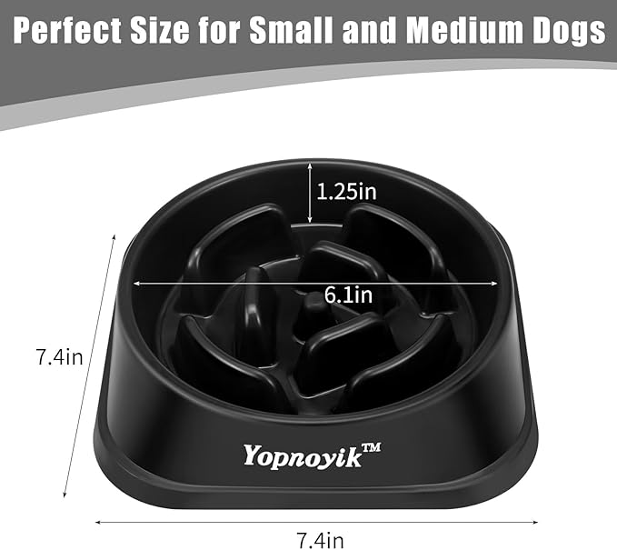 Slow Feeder Dog Bowls for Healthy Eating, Non-Slip and Anti-Choking Design, Reduces Bloating & Overeating for Small & Medium Dogs and Cats, Easy to Clean
