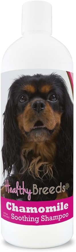 Healthy Breeds English Toy Spaniel Chamomile Soothing Dog Shampoo 8 oz