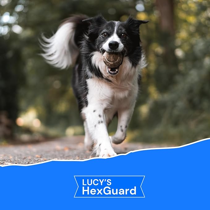 Lucy's Pet Skin Irritation Relief Shampoo - Soothes Rashes, Hot Spots, Skin Allergies, Pyoderma & More I Certified Organic Ingredients I Safe for Dogs & Cats I Unscented I 12oz