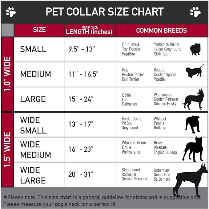 Buckle-Down Seatbelt Buckle Dog Collar - 5-Marvel Characters Black - 1" Wide - Fits 11-17" Neck - Medium