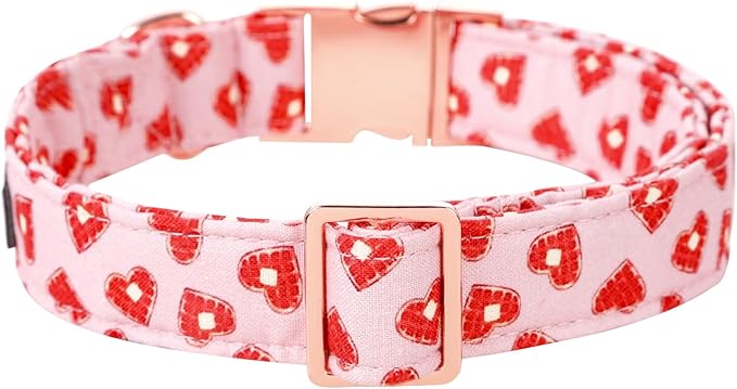 Lionet Paws Valentine Day Dog Collar, Heavy-Duty Cute Red Heart Pattern Collar with Metal Buckle Pet Necklace for Small Medium Dog Gift, Neck 13.5-22 inches