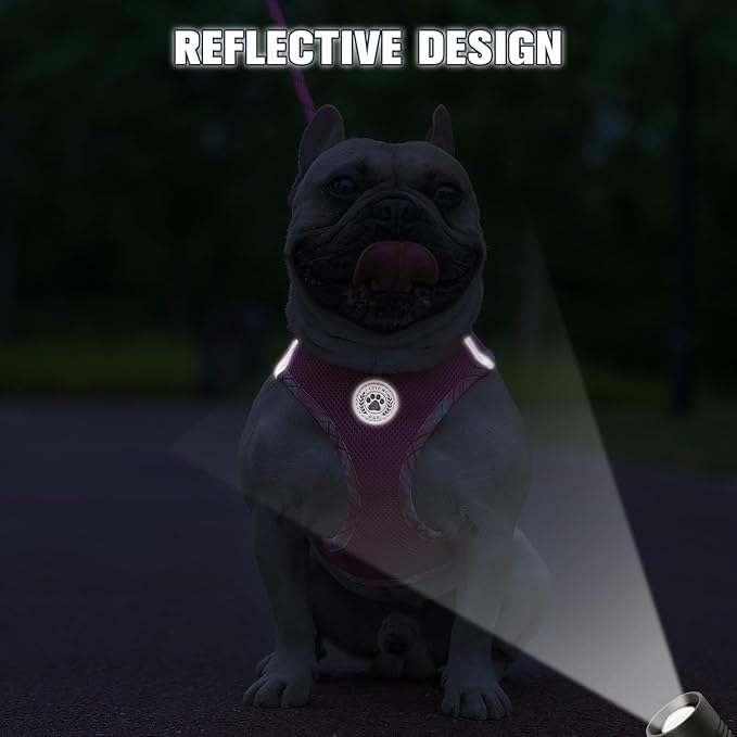 BEAUTYZOO Dog Harness and Leash Set for Small Medium Dogs,No Pull Step-in Harness for Puppy S M Sized Dogs and Cats,Air Mesh Adjustable Breathable Soft No Chock Escape Proof Vest Harnesses,Pink L