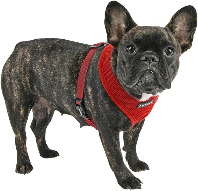 Puppia Soft Dog Harness, Wine, XX-Large (PDCF-AC30-WN-XXL)