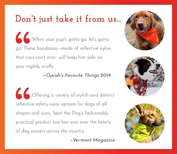 SPOT THE DOG! Reflective Dog Bandanas - High Visibility Safety Dog Accessories for Small, Large Dogs, Orange Collar, Scarf, Kerchief, Bib for Hunting, Camping, Walking at Night (Blaze Orange, XS-S)
