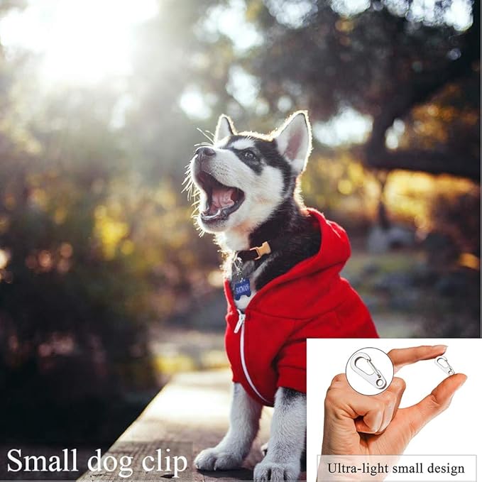 IVIA Dog Tag Clips / 2 Pack/Multiple Size 304 Stainless Steel Quick Clip with Rings/Easy Change Dog Cat ID Tag Holder for Small pet Collars and Harnesses.(2 Small Silver)