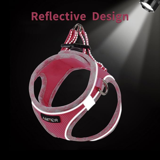 AMTOR Small Dog Harness with Leash Set, No Escape Easy Walk Puppy Harnesses for Training Walking, Step-in Reflective Soft Dogs Vest for XS S Medium Extra-Small Large Sized Dog(Fuchsia,XL)