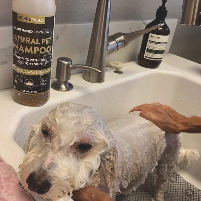 Natural Oatmeal Dog Shampoo with Enhanced Odor Control, 24 Ounces