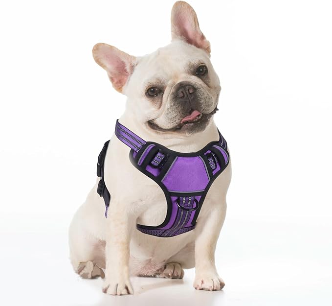 BUMBIN Dog Harness for Large Dogs, No Pull Adjustable No Choke Pet Vest with Dog Leash Fit Smart Reflective Pet Walking Harness for Training Easy Control Soft Handle Purple S