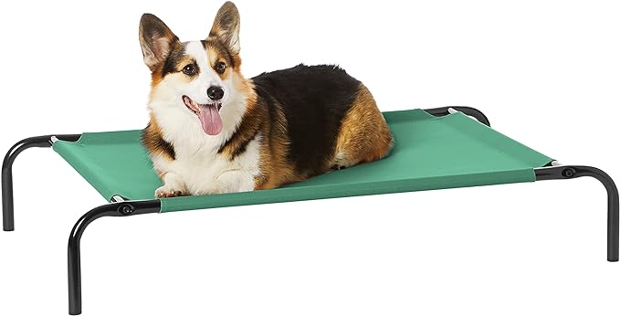 Amazon Basics Cooling Elevated Pet Bed, Medium (43 x 26 x 7.5 Inches), Green