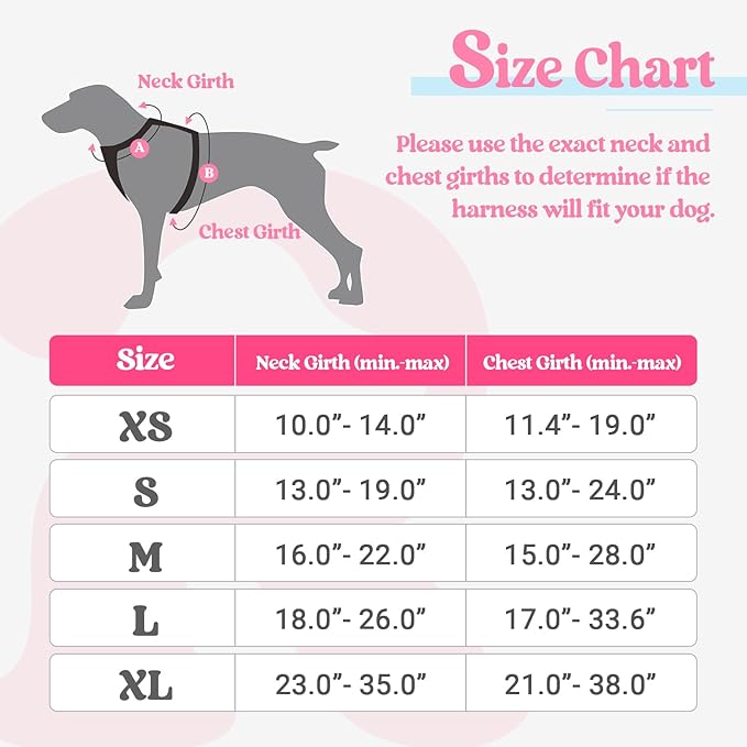 rabbitgoo Dog Harness, No-Pull Pet Harness with 2 Leash Clips, Adjustable Soft Padded Dog Vest, Reflective No-Choke Pet Oxford Vest with Easy Control Handle for Large Dogs, Pink & Blue, X-Small