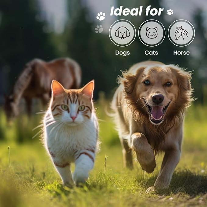 Best Shot ONE SHOT Deodorizing Spray, Versatile Pet Odor Eliminator Spray, Alcohol-free and Fabric-safe, Deodorizing Spray for Horses, Dogs, and Cats, Herbal Mint Fragrance, 32 Oz.