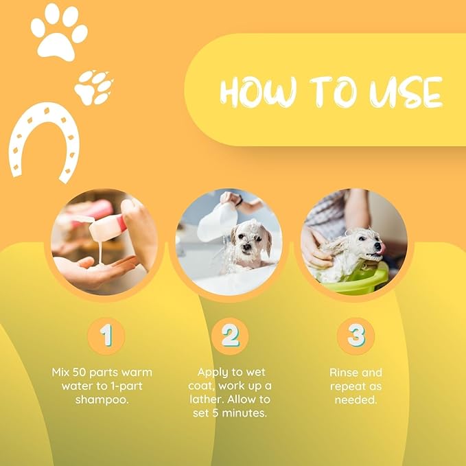 Kelco by Laube Color Enhancing Pet Shampoo - Pro Gold Shampoo for Yellow, Tan, Amber & Brown Coats - Natural, Hypoallergenic Formula for Grooming Dogs, Cats, and Pets(50:1 Concentrated, 1 Gallon)