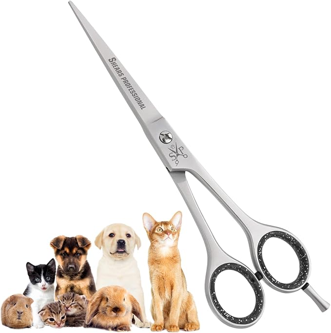 Hair Cutting Scissors, All Purpose 8 Inch Stainless Steel, Sharp Edge Blades, Dog Grooming Scissors, Hairdressing Texturizing Salon Razor Edge Scissor, Hair Shears for Barber Scissor