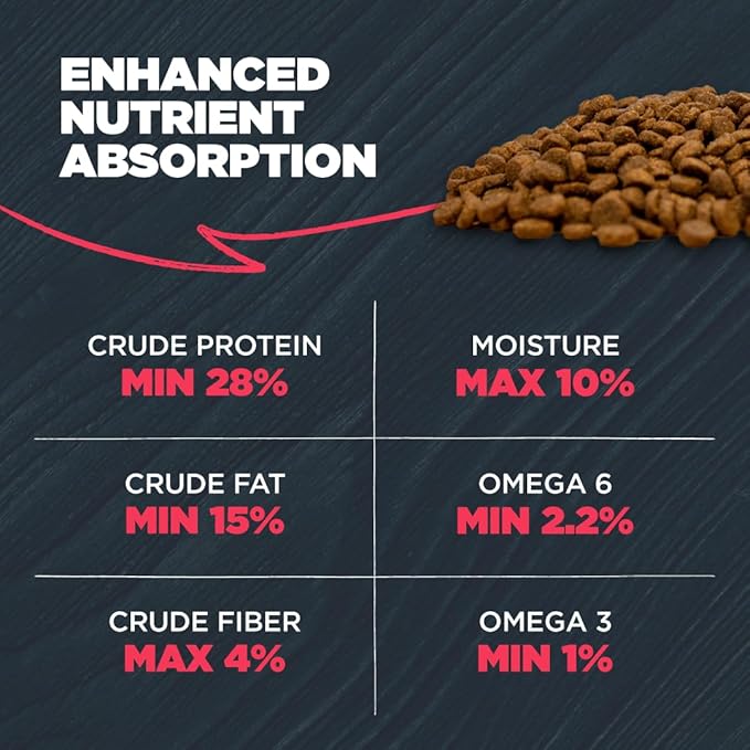 Blackwood Grain Free Dry Dog Food, Salmon & Field Pea Recipe, 10 Pound Bag for All Life Stages, Slow Cooked with Vitamins & Minerals for a Balanced Diet