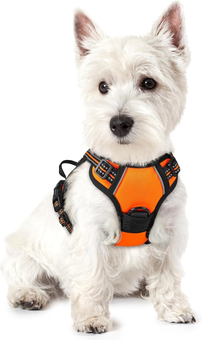 rabbitgoo Dog Harness, No-Pull Pet Harness with 2 Leash Clips, Adjustable Soft Padded Dog Vest, Reflective No-Choke Pet Oxford Vest with Easy Control Handle for Small Dogs, Orange,XS