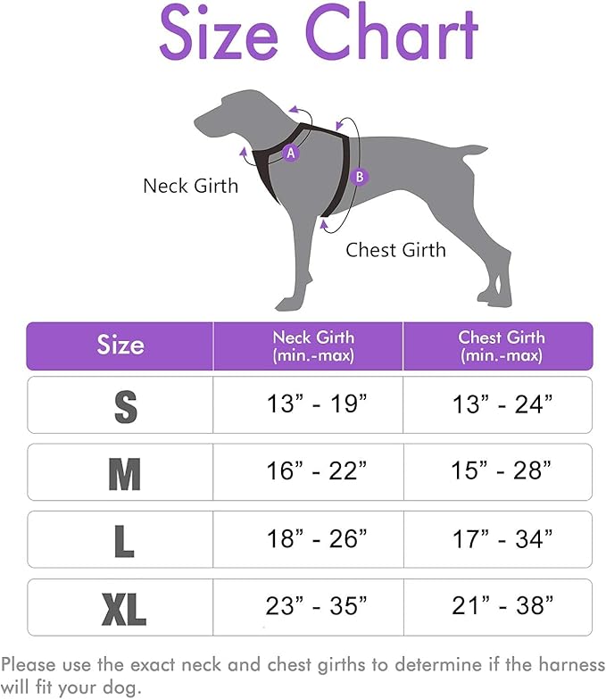 rabbitgoo Dog Harness, No-Pull Pet Harness with 2 Leash Clips, Adjustable Soft Padded Dog Vest, Reflective No-Choke Pet Oxford Vest with Easy Control Handle for Large Dogs, Purple, L