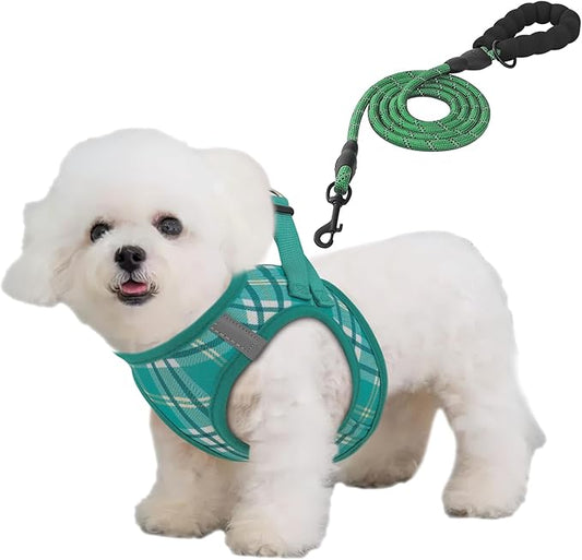 Athena Collection Small Dog Harness with 5 ft Leash, Step-in Dog Harness Leash Set Small No Pull Dog Vest Harness with Reflective Strips Adjustable Velcro, Easy Walk Puppy Harness, Green