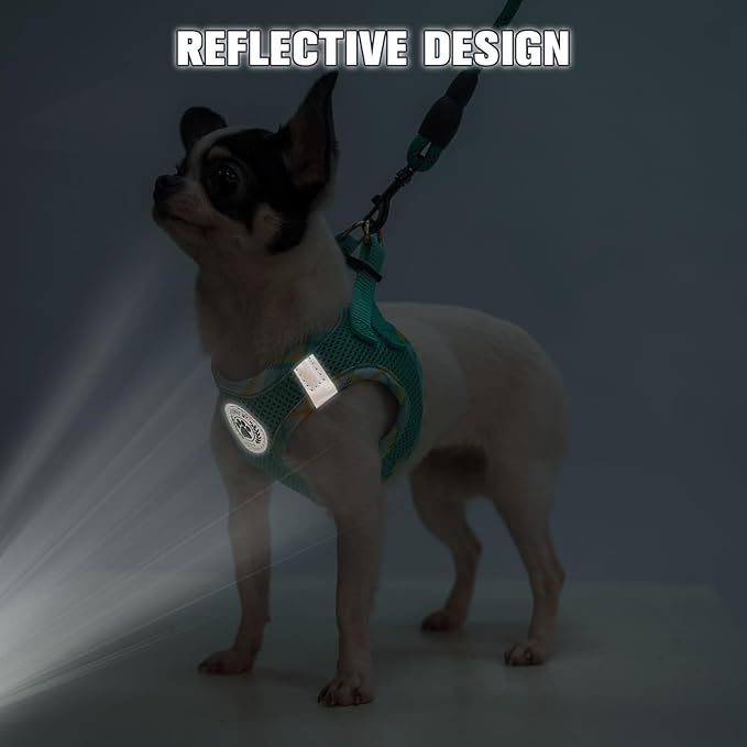 BEAUTYZOO Dog Harness and Leash Set for Small Medium Dogs,No Pull Step-in Harness for Puppy S M Sized Dogs and Cats,Air Mesh Adjustable Breathable Soft No Chock Escape Proof Vest Harnesses,Green XS