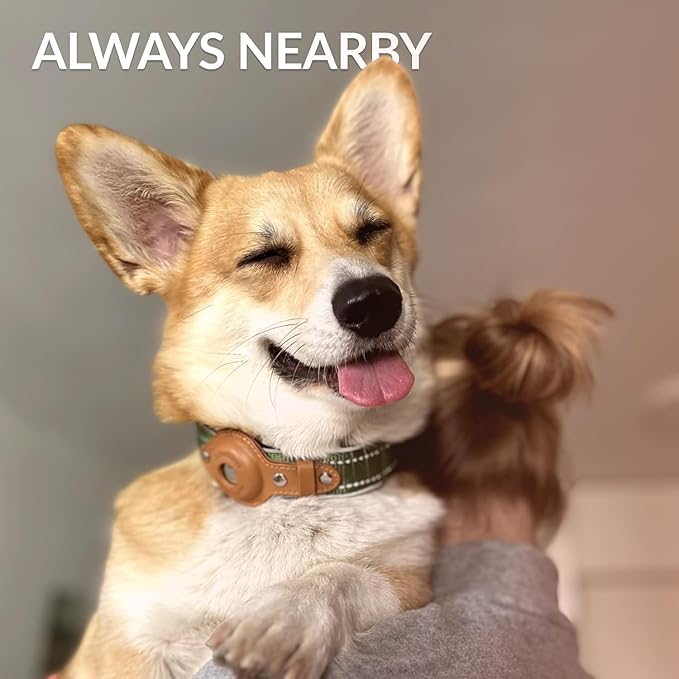 Airtag Dog Collar, CollarDirect, Reflective Dog Collar for Apple Air Tag for Large, Medium, and Small Dogs, Black, Green, Pink (L, Green)