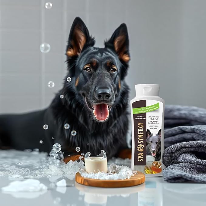 Pet Dog Shampoo Mud and Natural Dead Sea Mineral Rich, Aloe Vera & Vitamin-E, Soothing, Soften & Shiny Coat, Cleansing - Natural Honey & Milk - (1) Bottle 16.5 FL OZ