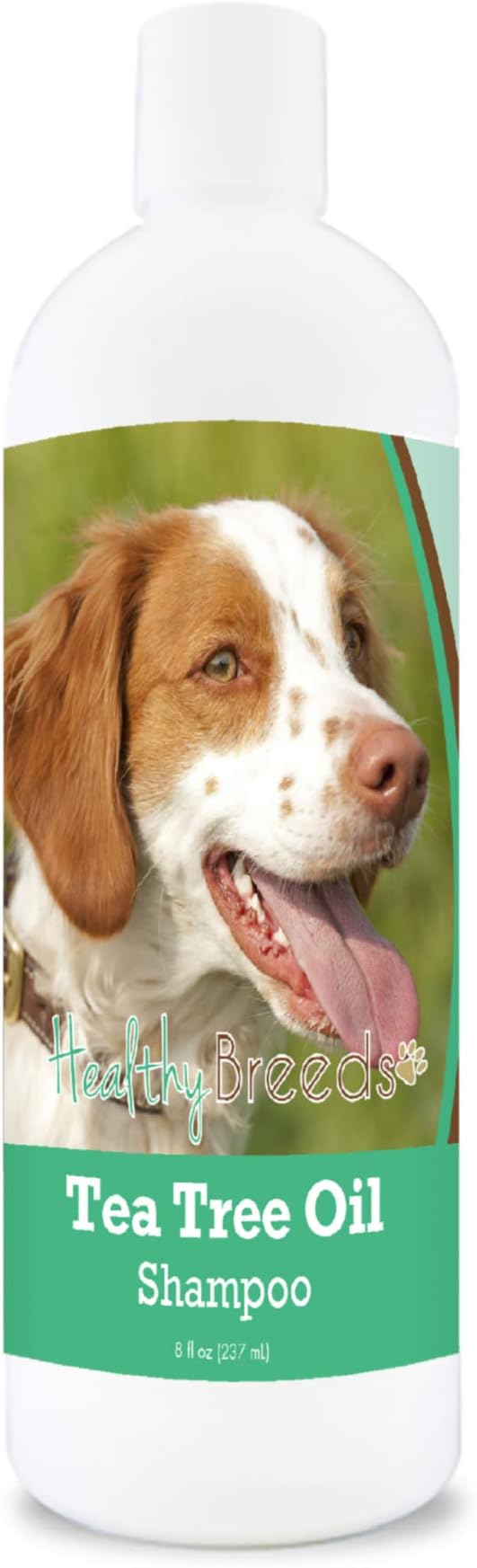 Healthy Breeds Brittany Tea Tree Oil Shampoo – Formulated for Dry, Irritated Skin – Reduce Dandruff – Wintergreen Scent – 8 oz