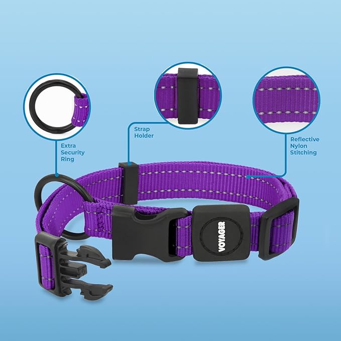 Voyager Reflective Dog Leash Collar Set with Neoprene Handle Supports Small, Medium, and Large Breed Puppies, Cute and Heavy Duty for Walking, Running, and Training - Purple, M