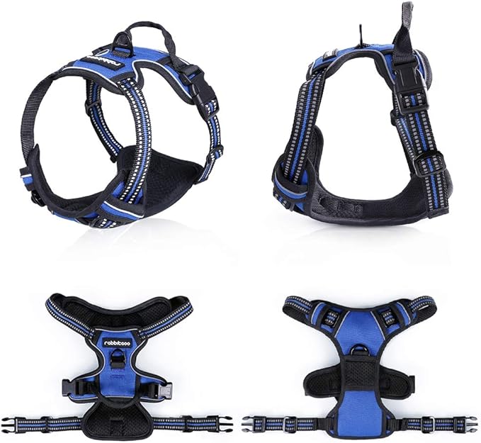rabbitgoo Dog Harness, No-Pull Pet Harness with 2 Leash Clips, Adjustable Soft Padded Dog Vest, Reflective No-Choke Pet Oxford Vest with Easy Control Handle for Large Dogs, Dazzling Blue, L