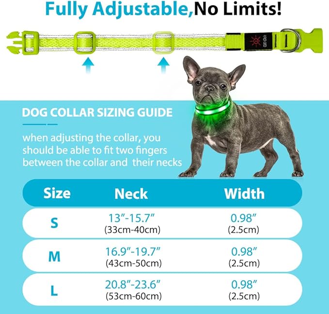 LED Dog Collar Rechargeable - BSEEN Light Up Dog Collar, Glow in The Dark Dog Collar Light, Reflective Dog Collar Safety Dog Lights for Night Walking (Medium, Green Ⅱ)