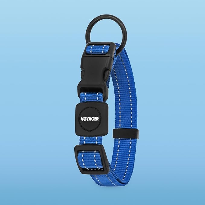 Voyager Reflective Dog Leash Collar Set with Neoprene Handle Supports Small, Medium, and Large Breed Puppies, Cute and Heavy Duty for Walking, Running, and Training - Royal Blue, L
