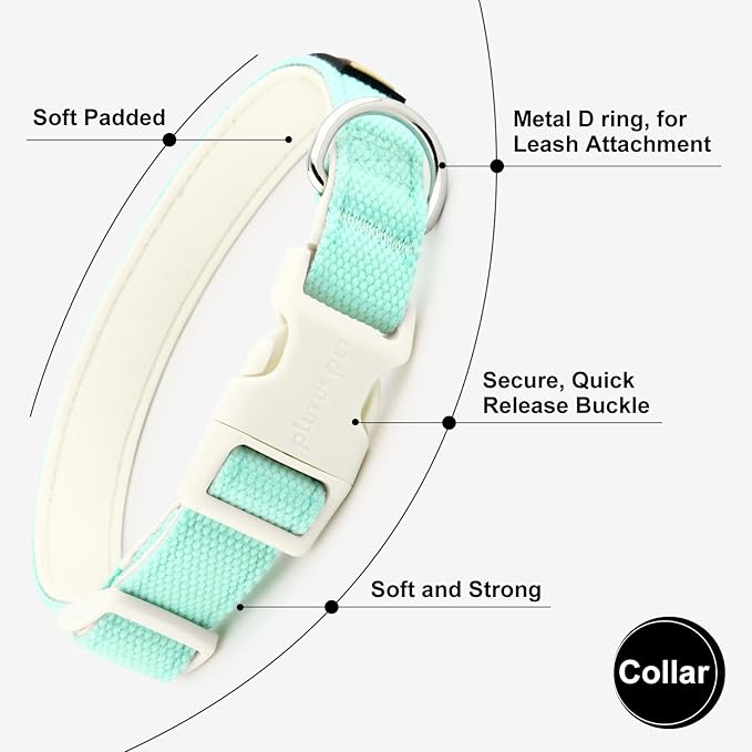 Plutus Pet Cotton Dog Collar, Heavy Duty Collar with Soft Padding, Adjustable and Comfortable for Small Medium and Large Dogs, Light Cyan, L