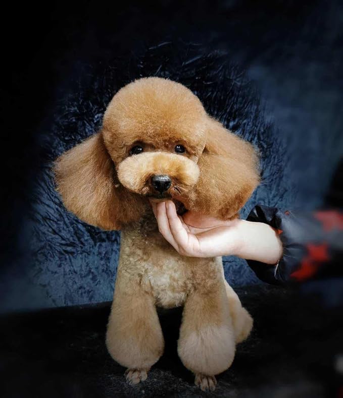 Dog Grooming Scissors,Pet Grooming Scissors with Thinning,Straight,Curved Down Shears great for Groomers,Home Grooming and Groomer Beginners (Scissors Kit with Tapered Tips)