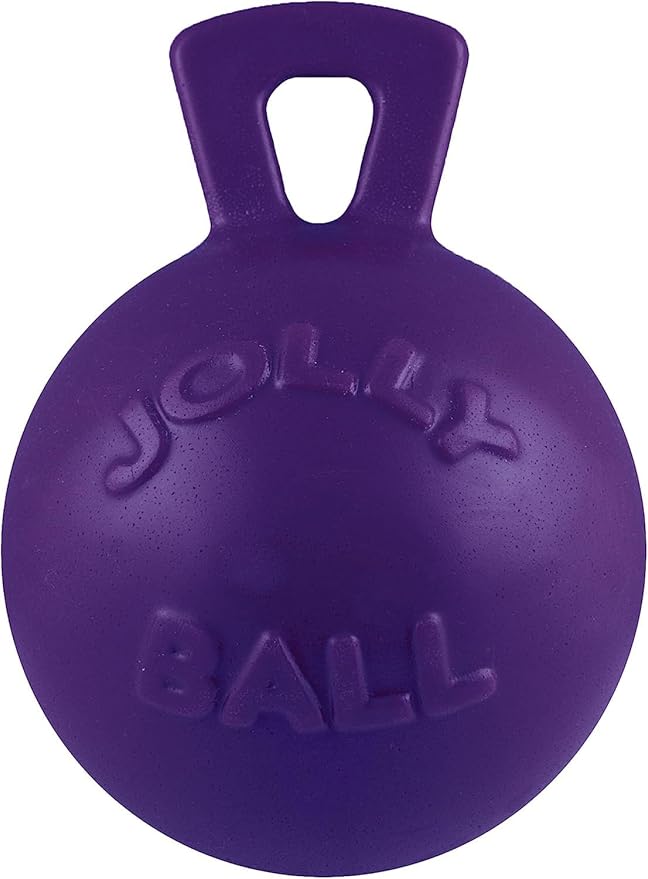 Jolly Pets Tug-n-Toss Heavy Duty Dog Toy Ball with Handle, 6 Inches/Medium, Purple