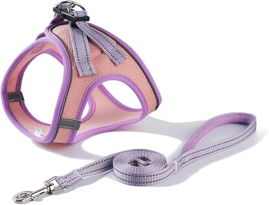 Soft Mesh Dog Harness and Leash Set, No-Chock Step-in Reflective Breathable Lightweight Easy Walk Escape Proof Vest Harnesses with Safety Buckle for Small Medium Dogs, Cats (Purple, Medium)