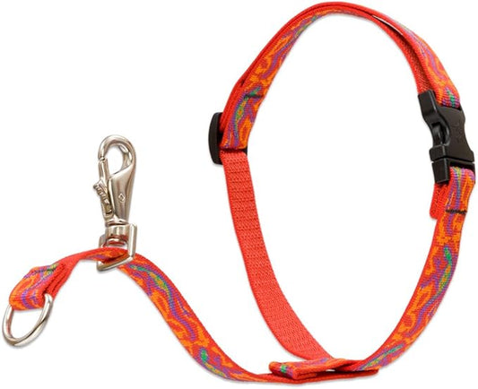LupinePet Originals 3/4" Go Go Gecko 16-26" No Pull Harness for Small-Medium Dogs