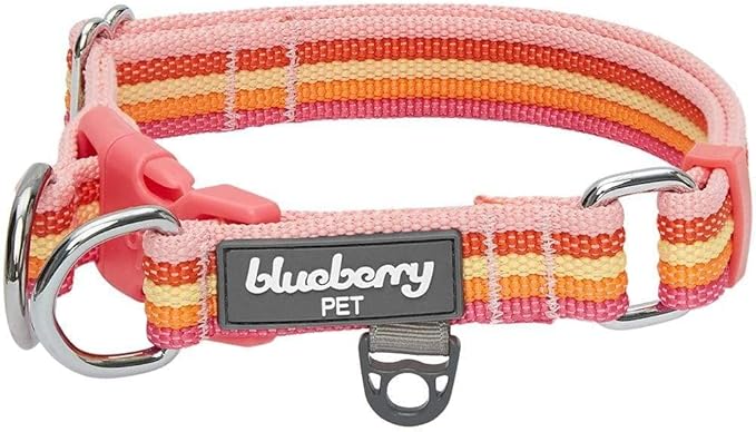 Blueberry Pet 3M Reflective Dog Collars | Adjustable Dog Collar w/Multi-Colored Stripe - Warm Tone Rainbow Color | Nylon Pet Collars for Dogs & Refflective Dog Collar for Medium Dogs