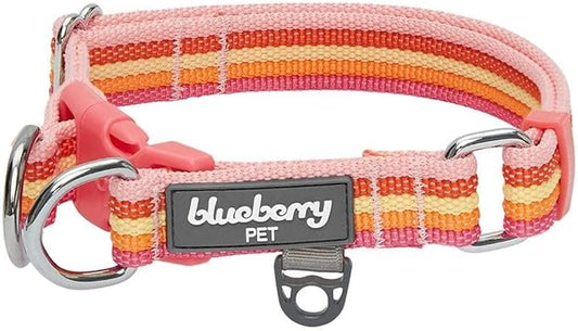 Blueberry Pet 3M Reflective Dog Collars | Adjustable Dog Collar w/Multi-Colored Stripe - Warm Tone Rainbow Color | Nylon Pet Collars for Dogs & Refflective Dog Collar for Medium Dogs
