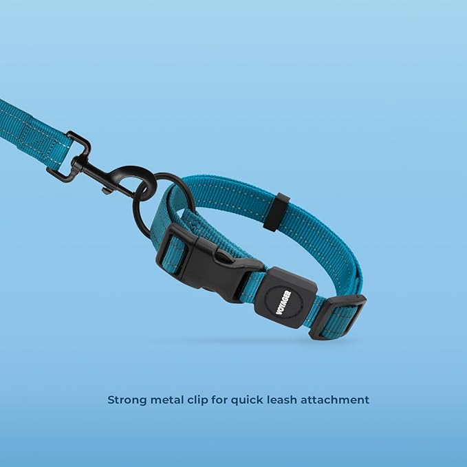 Voyager Reflective Dog Leash Collar Set with Neoprene Handle Supports Small, Medium, and Large Breed Puppies, Cute and Heavy Duty for Walking, Running, and Training - Turquoise, L